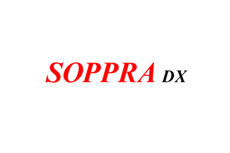 Soppra Digital transformation株式会社